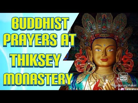 Buddhist Prayers at Thiksey Monastery - තික්සේ ආශ්‍රමයේ බුද්ධ වන්දනාව