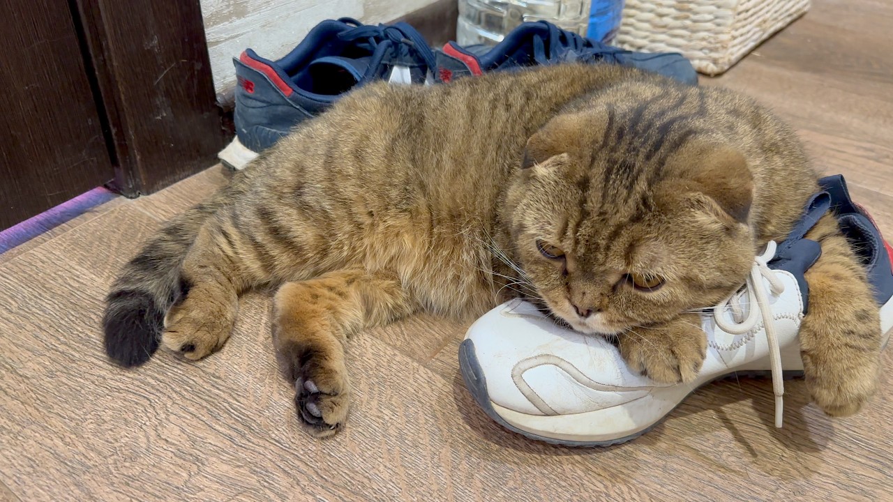 лютует МИТЯ и лижет ледяной БЕТОН