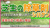 コケ 苔 対策 芝生 西洋芝 庭 苔 撃退法 芝 Lawn Restoration Moss Control Youtube コケ 苔 対策 芝生 西洋芝 庭 苔 撃退法 芝 Lawn Restoration Moss Control Youtube