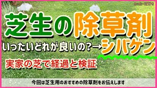 凄い芝生用除草剤シバゲンメリット・ビフォーアフター使い方【芝生、TM 9、庭】