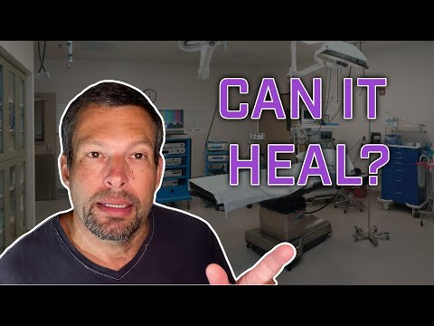 Rotator Cuff Healing