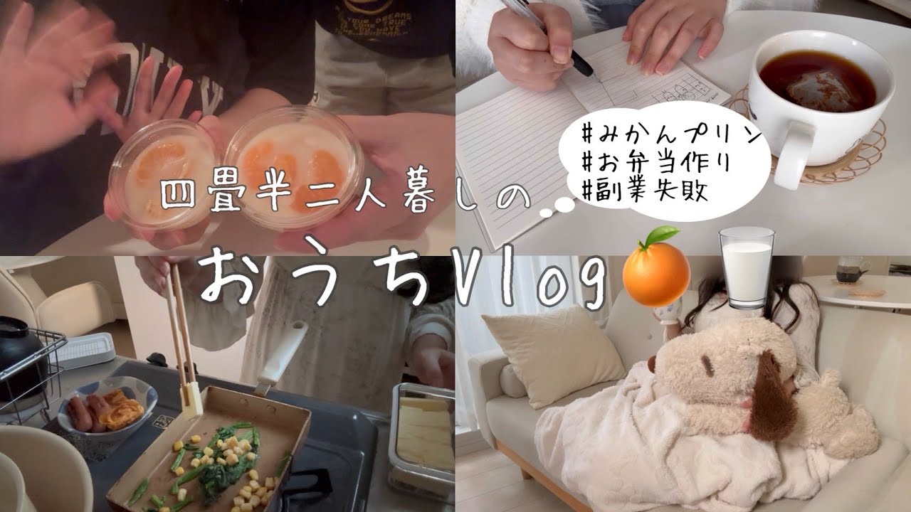 日常vlog🍊🥛|同棲二人暮らし｜実は副業失敗しました｜お家時間の過ごし方｜絵日記の書き方