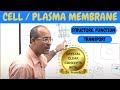 Cell or Plasma Membrane - Structure, Function & Transport - Physiology
