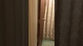 1001 S Forest Part 1