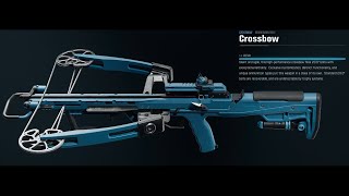 Long Range Crossbow Build Black Ops 6