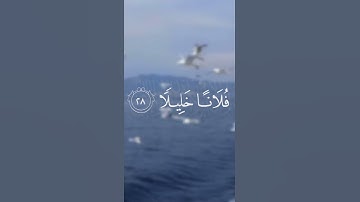 (ويوم يعض الظالم على يديه) القارئ: الشيخ محمد اللحيدان حفظه الله #fyp #قرآن #القرآن_الكريم #deen
