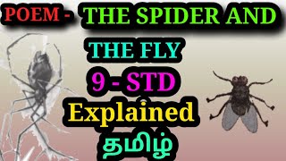 THE SPIDER AND THE FLY POEM | EXPLAINED IN தமிழ் | SAMACHEER KALVI | TNPSC |