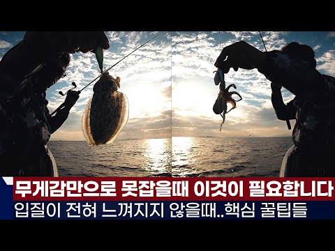 풍낚TV무게감으로 잡는 한계에 부딪힌다면/입질이 전혀 느껴지지 않을때/쭈꾸미낚시 핵심꿀팁들/기본채비와 운영법/주효에기 및 주의사항/군산리더호/Webfoot octopus
