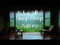Rain Therapy : Relaxing Sounds for Deep Sleep