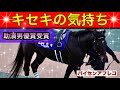 キセキの気持ち 【馬の気持ちシリーズ】助演男優賞【競馬】