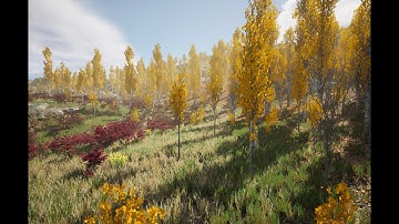 The 4 Seasons in Unreal Engine