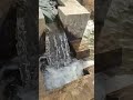 Nature ✨#trending #youtube #hunter #codm #cod