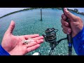 First Time I've Sight Casted This Fish + Fishing Artificial Micro Shrimp In Clear Water