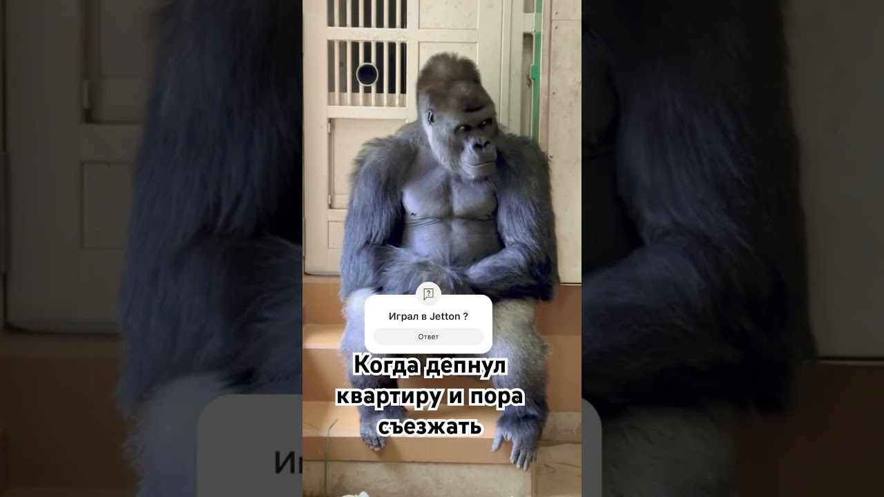 Нужно додеп искать                 ссылка на бонус в профиле 