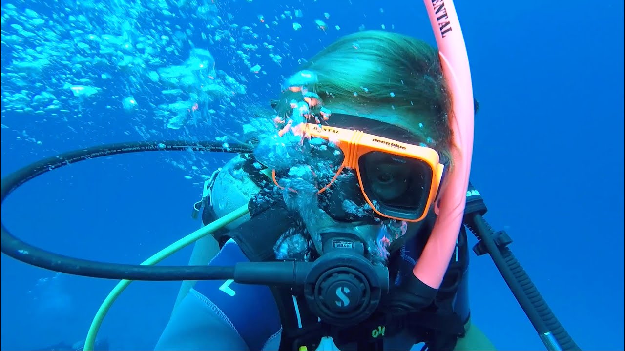 PADI CERTIFICATION in BONAIRE. The best place to learn how to dive. Sailing Ocean Fox Ep 77