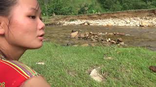 Primitive Life: Smart Fishing Build Simple Fish Trap Catch Fish For Survival