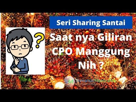 Seri Sharing Santai - Saatnya Saham CPO Manggung Nih ? View Harga LSIP (PEMULA WAJIB TAHU)
