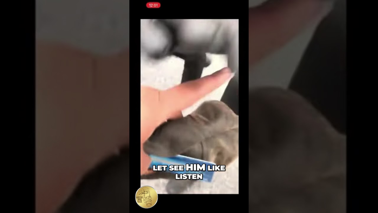 Cop's Brutal Arrest Caught on Camera! You Won't Believe This!