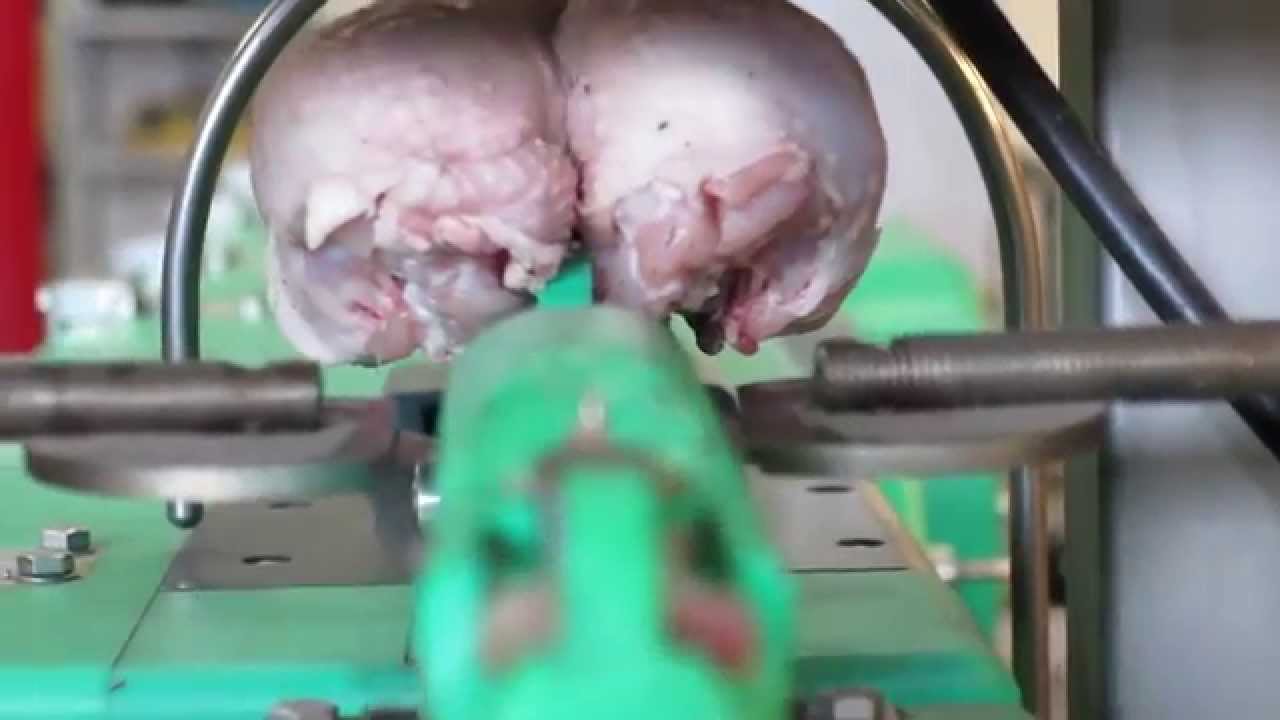 Use Poultry Tech Meyn BC40 HD 1020