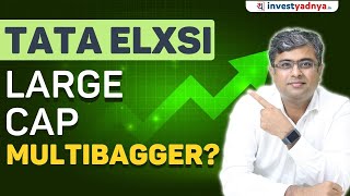 Tata Elxsi  Still A Large Cap Multibagger Stock? Parimal Ade