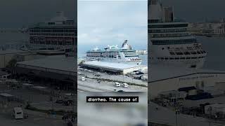 Ruby Princess Cruise Ship Over 300 Fall Ill With Unknown Disease