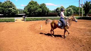 AULA EQUESTRE - TRABALHANDO O CONTROLE DO CAVALO PARTE 02