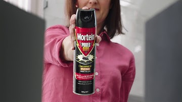 Mortein PowerGard Crawling Insect Killer - Louie