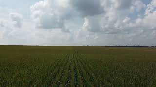 Crop Scouting Example 1