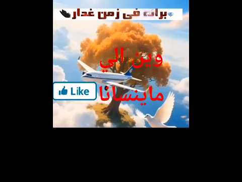 وين الي ماينسانا ٢٦ أكتوبر ٢٠٢٥