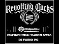Capture de la vidéo Electronation [199] Ministry+ Ebm + Revolting Cocks