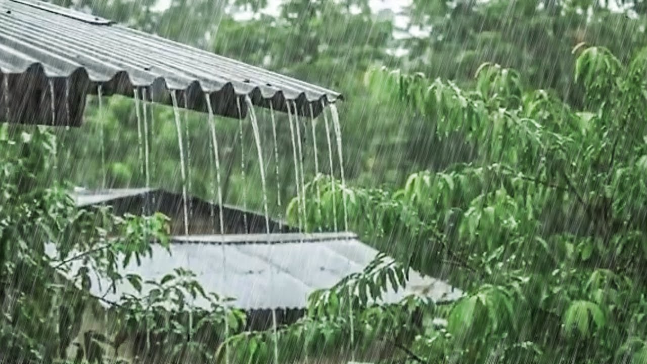 Calming Rain Sounds to Reduce Stress and Anxiety