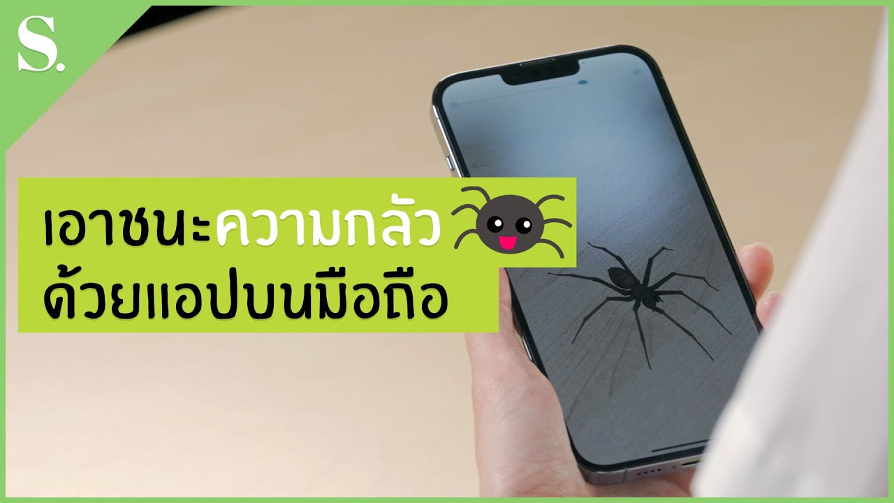 เอาชนะความกลัวแมงมุมด้วยแอปฯ บนมือถือ | sueching