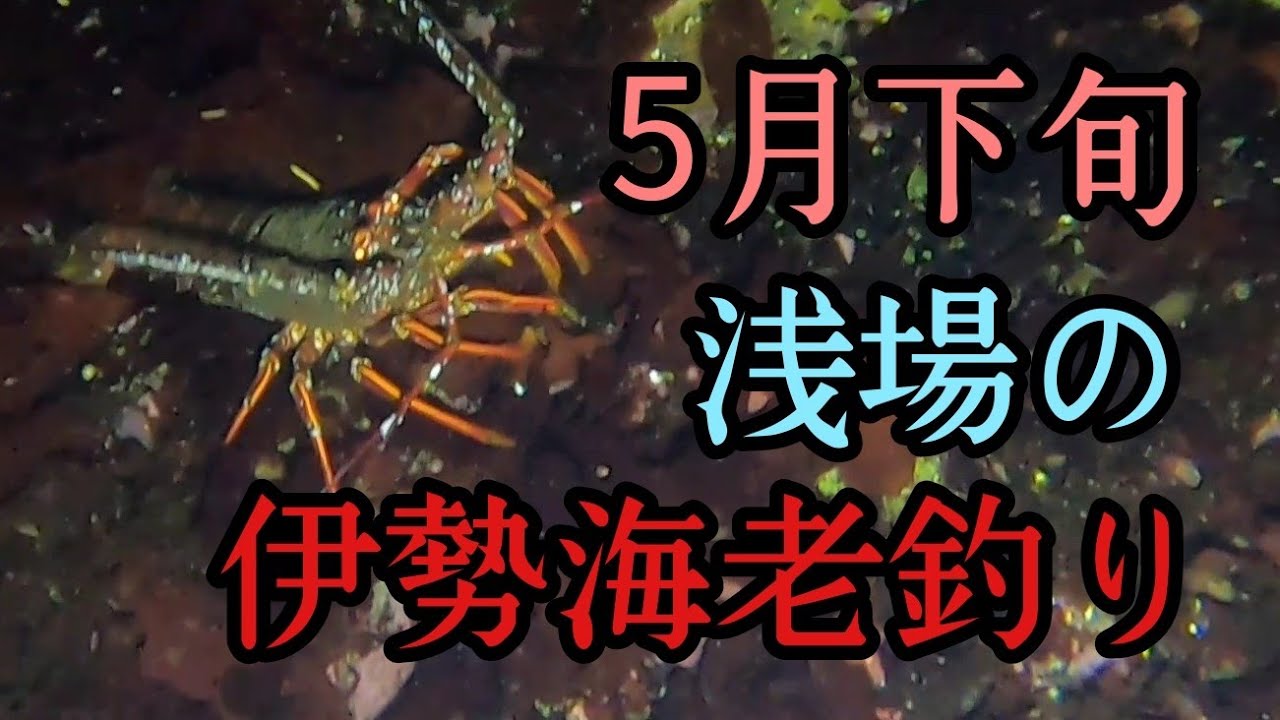 伊勢海老釣り釣行第3回目 Youtube