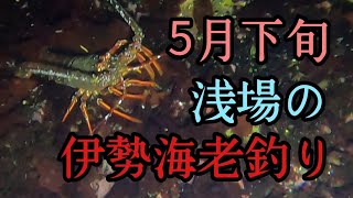 伊勢海老釣り釣行第3回目 Youtube