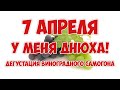 Дегустация виноградного самогона