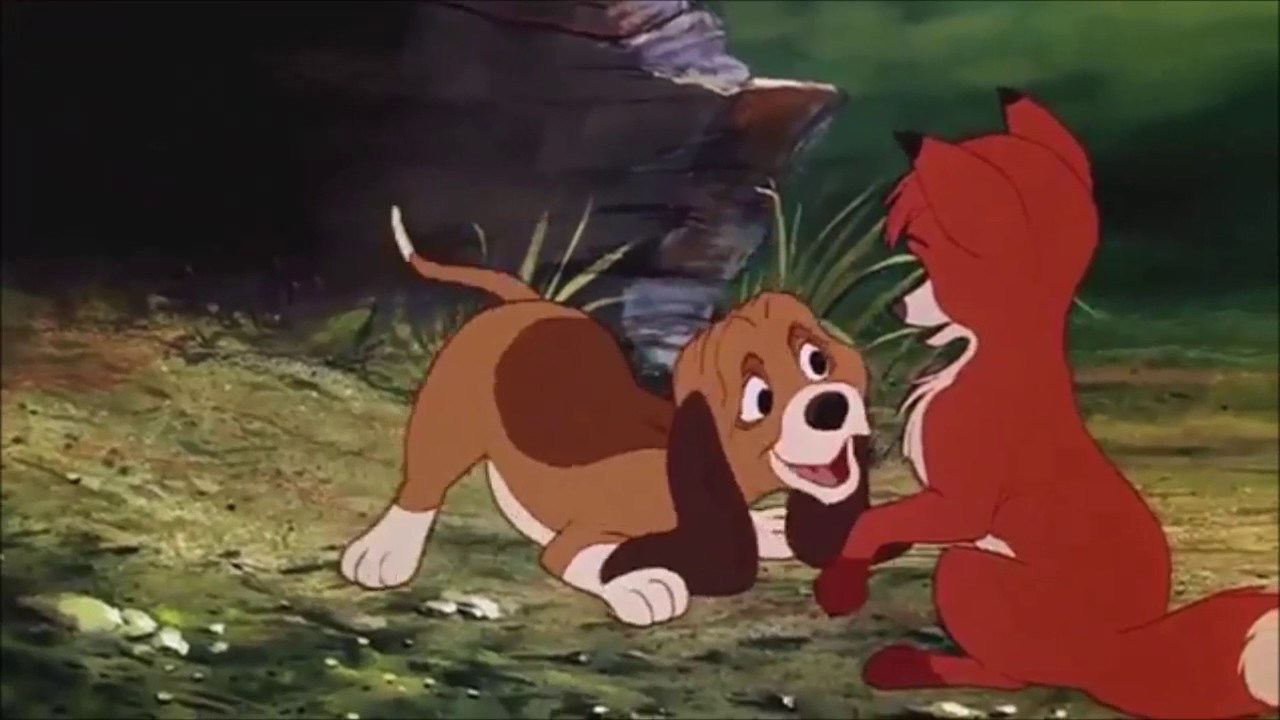 Animash-Try Everything