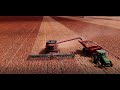 Black & Co Sorghum Harvest 2019