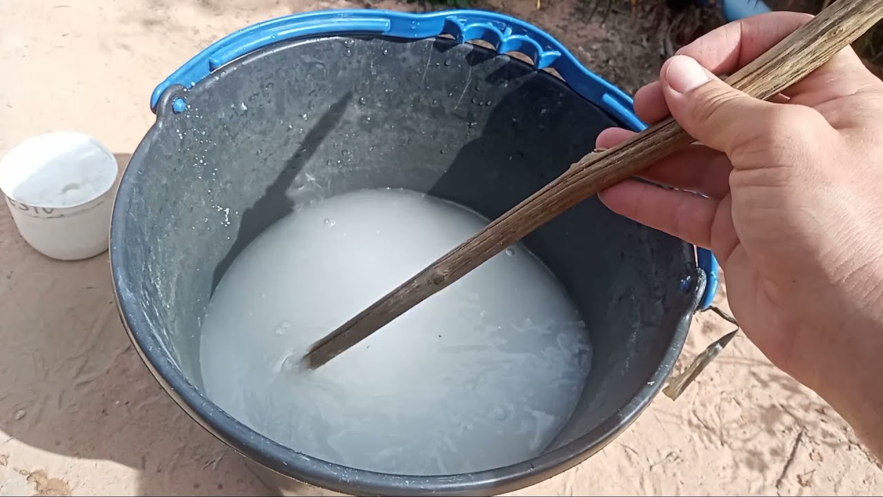 Adubação de cobertura do morango 🍓 segunda fertirrigação da semana