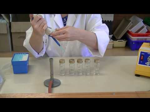 How to create serial dilutions