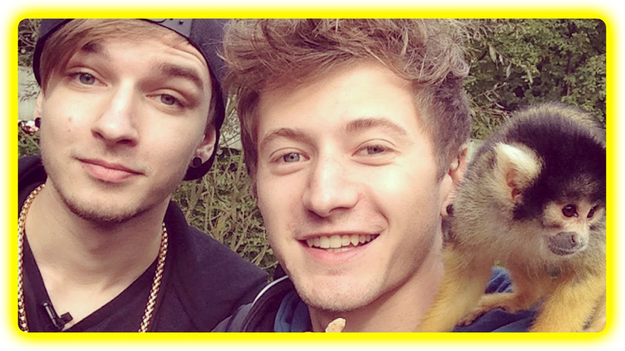 1 Tag Tierpfleger mit Ardy | izzi days