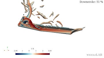 OpenFOAM Flapping Flight - Isoview