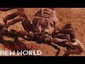 Primeval: New World [2012] - Brontoscorpio Screen Time