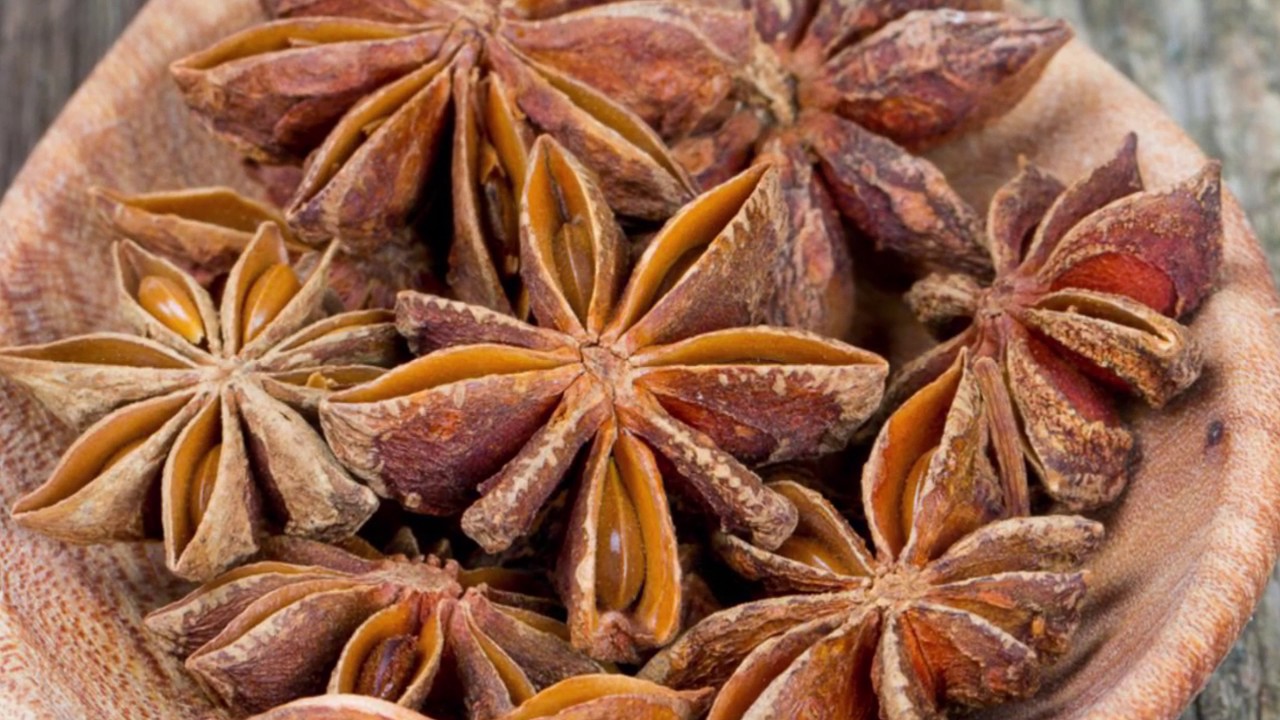 UBICA OTROVA IZ CRIJEVA, ODŽAČAR ZA BRONHIJE, ČISTI KRV, JAČA NERVE Prof. dr Mihajlović