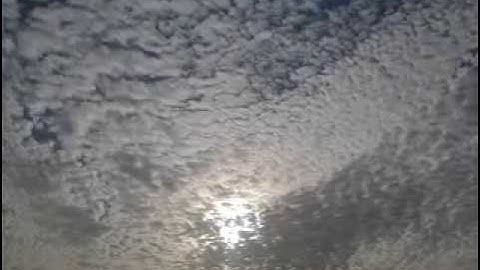 تلاوة خاشعة ومؤثرة لفواتح سورة الأنفال من مسجد الصحابة في الشارقة