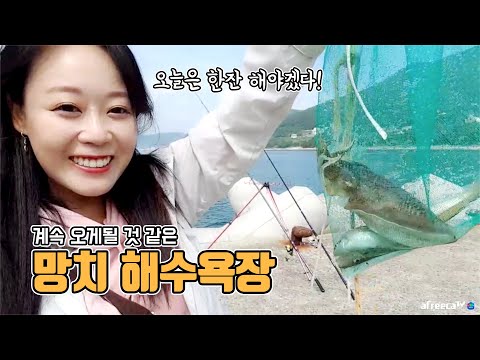 카아~ 오늘 한잔 안할 수 없네요 망치 <strong>해수욕장</strong> 안주가 수두룩 fishing aing2 [<strong>여자</strong> 낚시꾼 아잉2]
