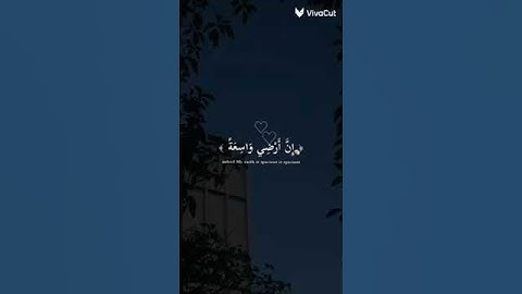 قرآن الكريم…#الشعب#الصيني#ماله#حل#قرآن#الكريم#…