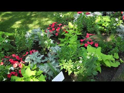 Videó: Kert szökőkút-tervek: tippek szökőkúttal a kertbe