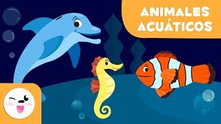 Los animales acuáticos para niños  Vocabulario para niños