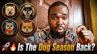 🐕 🚀 Kishu Inu, Akita, Manyu, Shiba Inu... Is Dog Season Back? 🔥🔥 Wealth