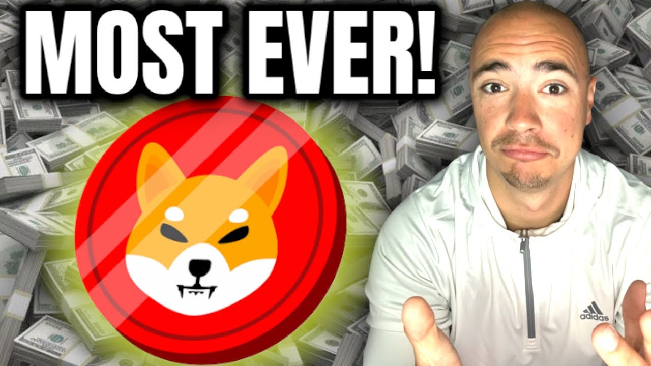 SHIBA INU COIN THE MOST SHIBA INU EVER RECORDED YouTube shiba-inu-coin-the-most-shiba-inu-ever-recorded-youtube